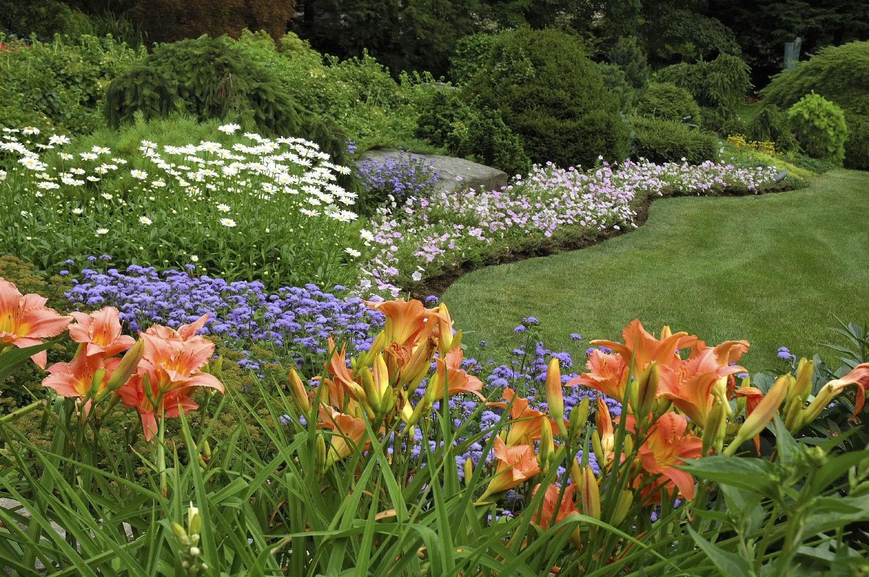 A lush garden with many flowers and large shrubs