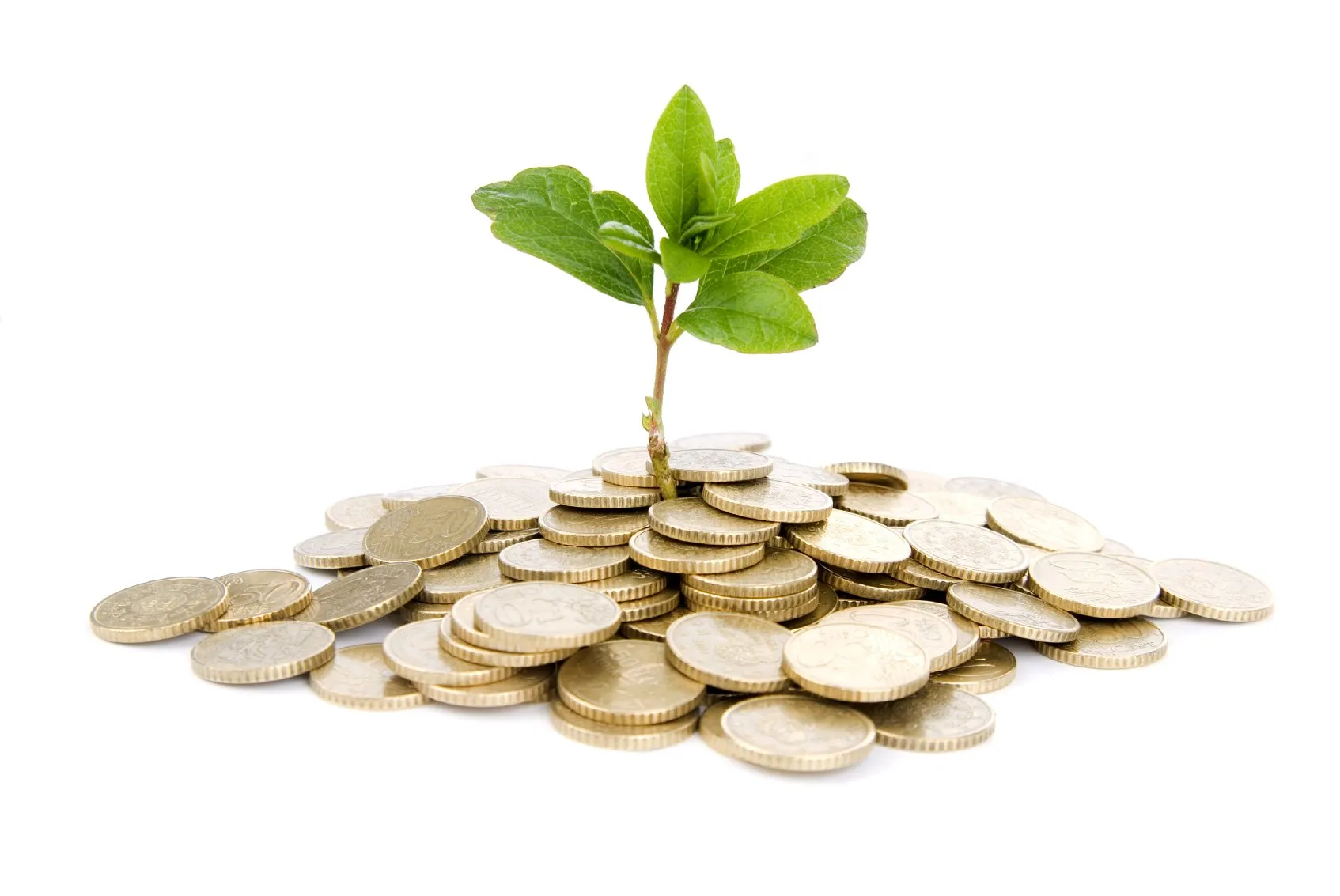 A plant growing from a pile of coins