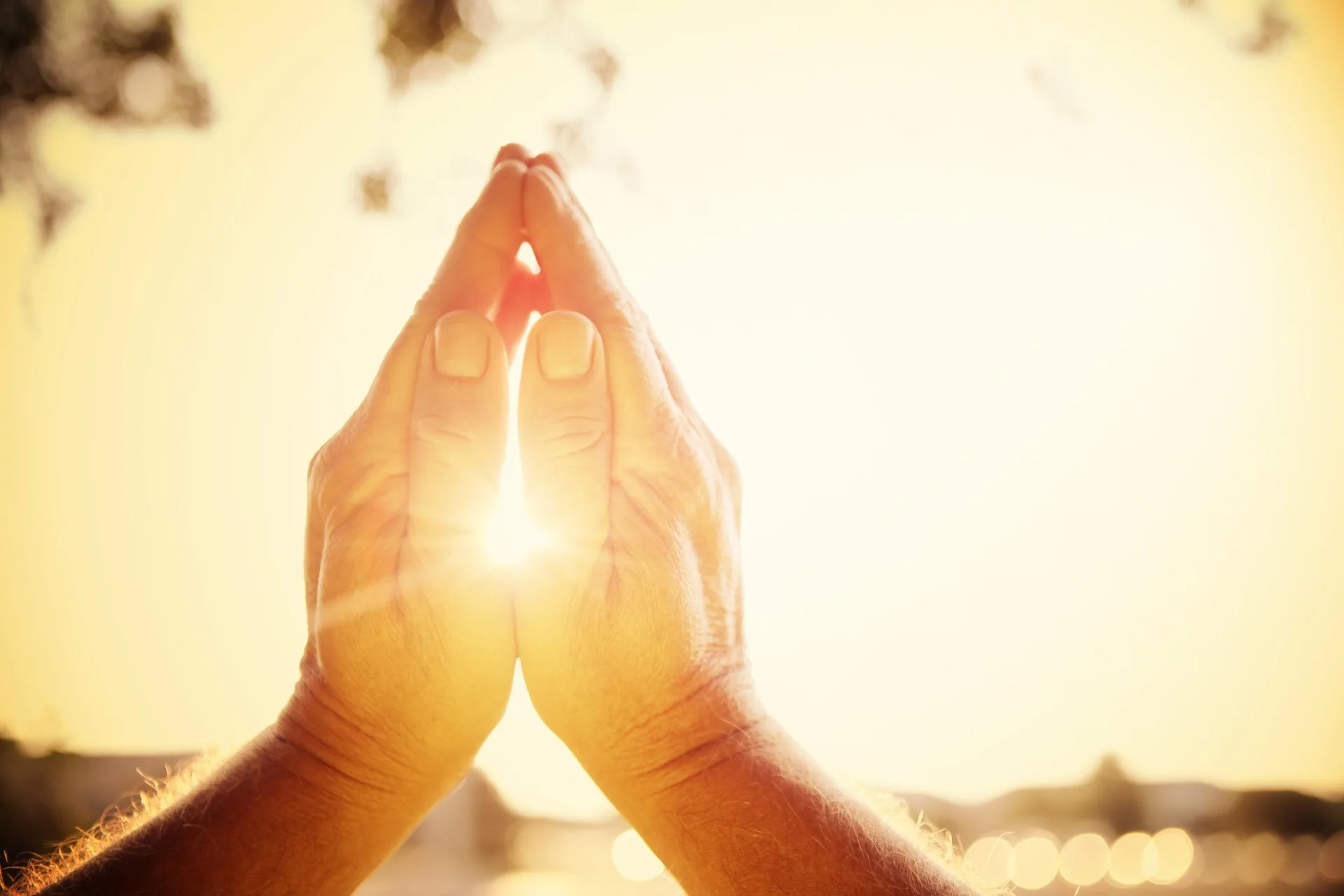 Two hands held upward in prayer with the sun shining behind them.