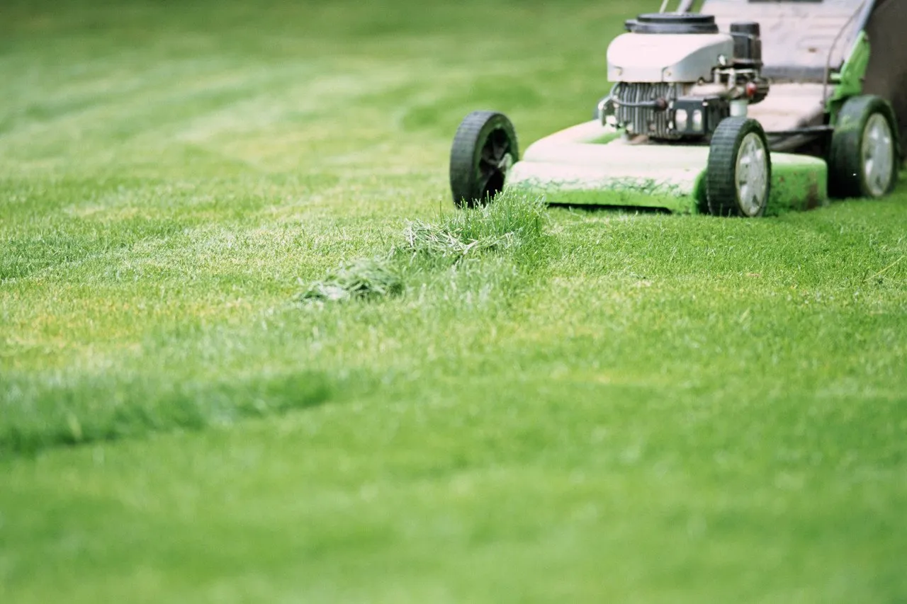 A push lawn mower cutting grass