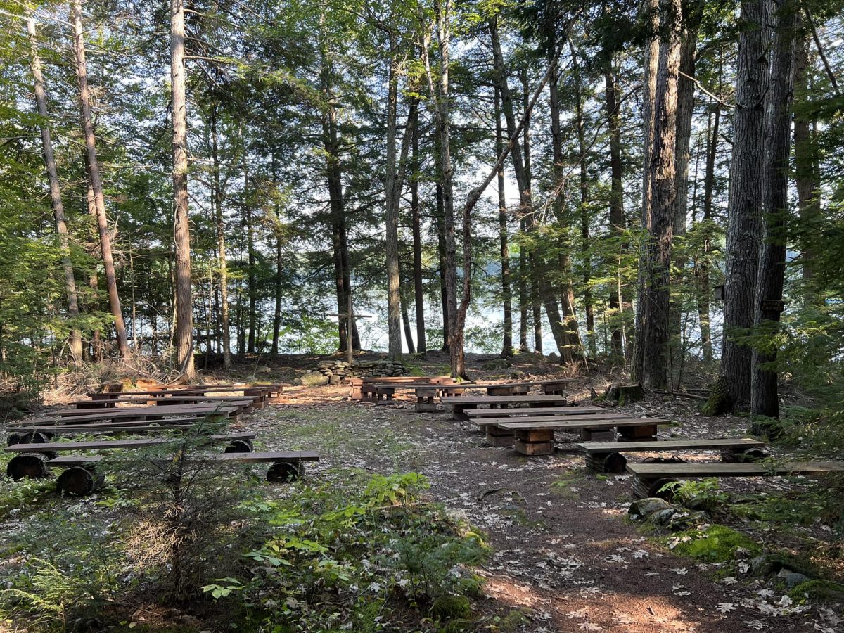Rows of wooden log pews in a wooded area surrounded by trees looking over a lake