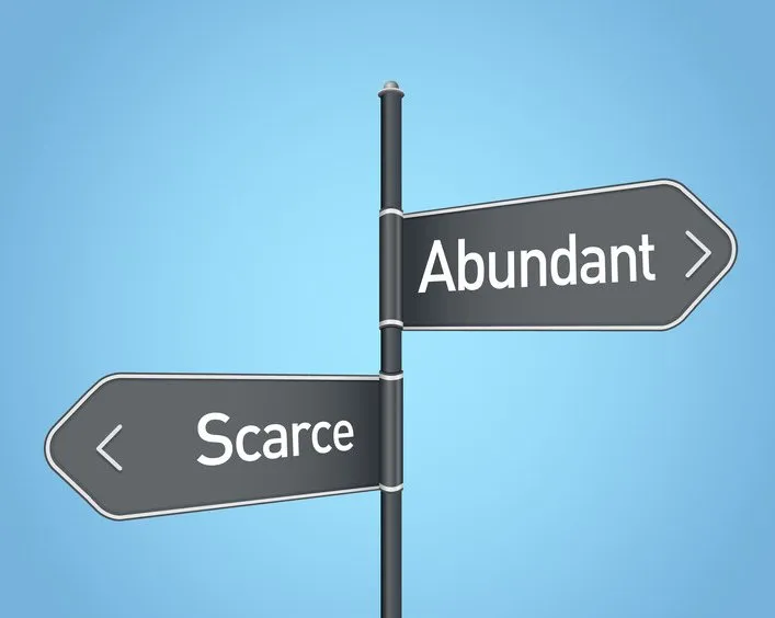 A road sign pointing opposite directions, one saying "Abundant" and the other saying "Scarce"
