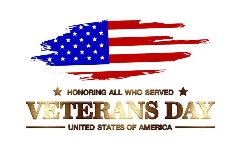 Stylized Veteran's Day logo with an American flag
