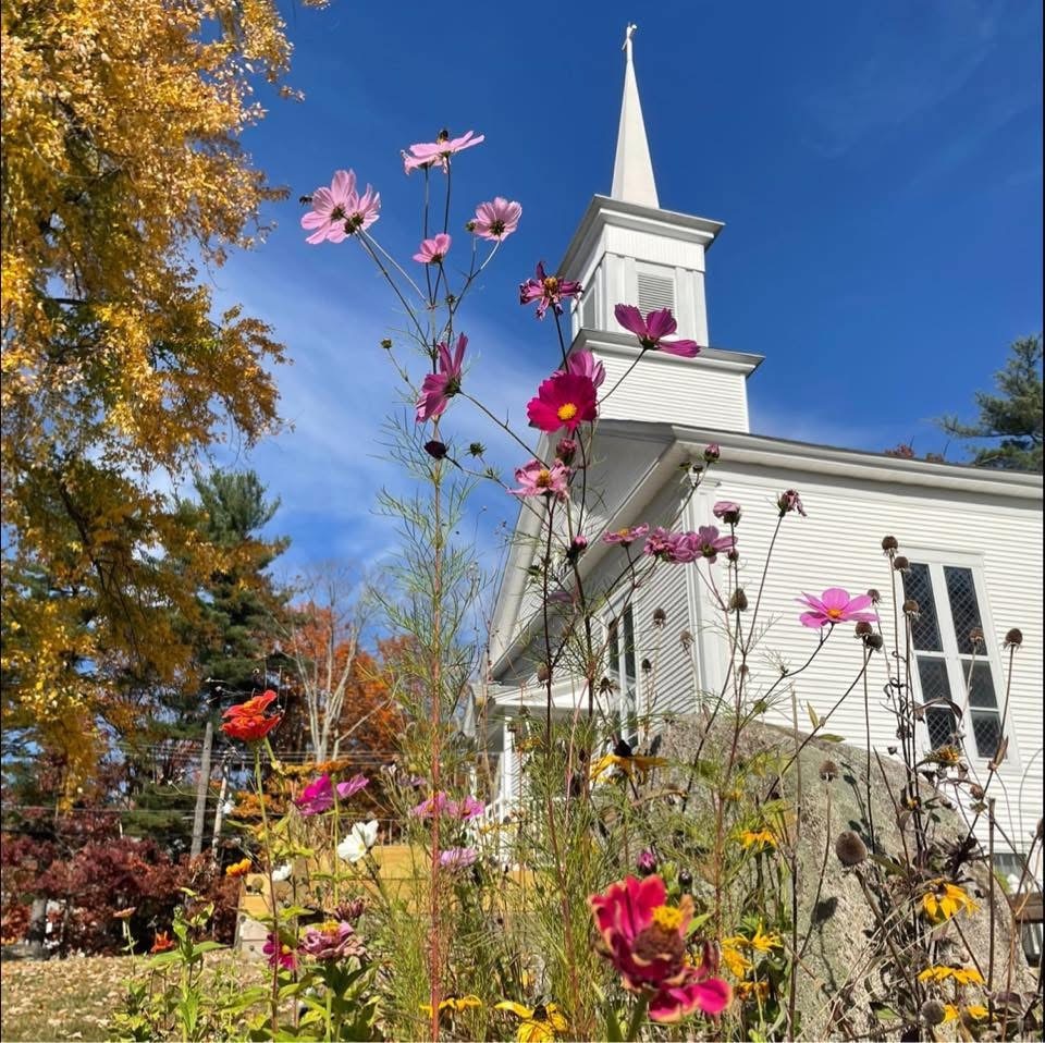 White church steeple on a Fall day with flowers in the foreground